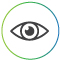 vision